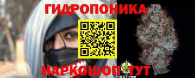 сатива Дмитров