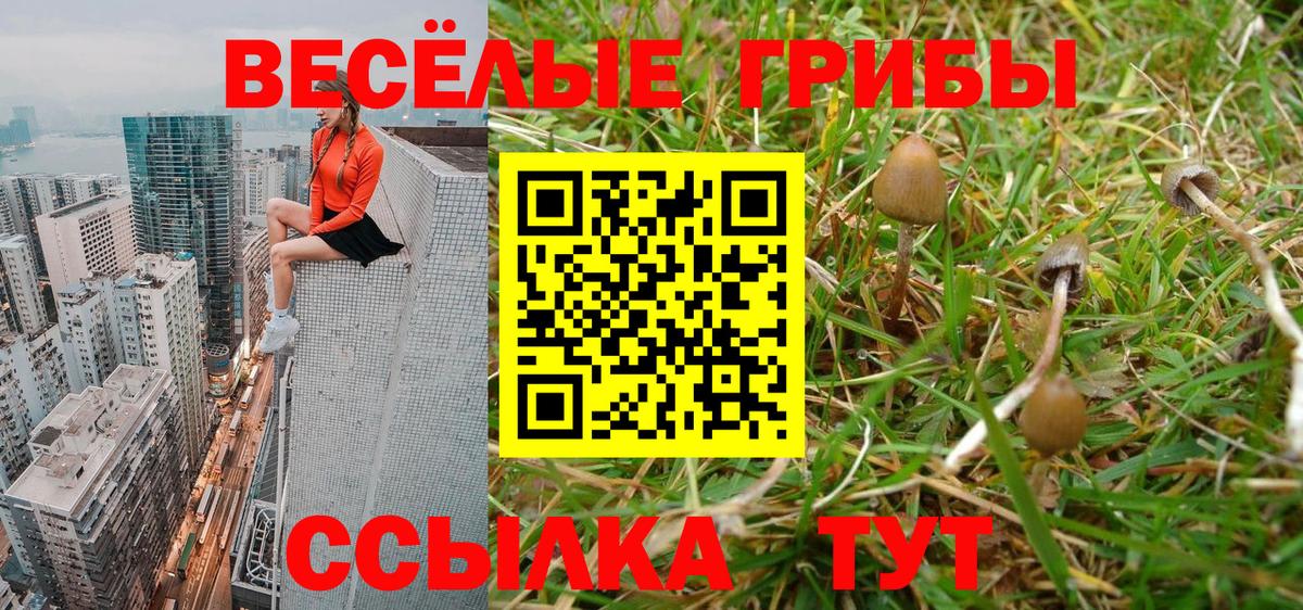 Галлюциногенные грибы мицелий Шелехов