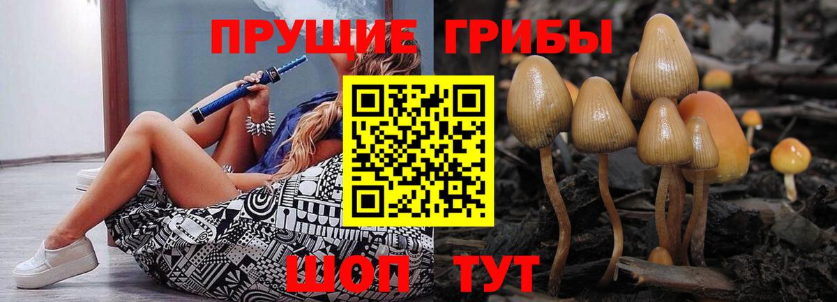 цена наркотик  Галлюциногенные грибы мицелий  Вход с VPN  Шелехов 